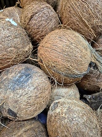 Noix de coco polynésiennes dont la coque est travaillée en bijoux